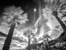 ir