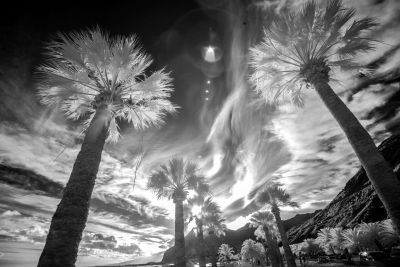 ir