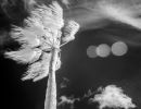 ir