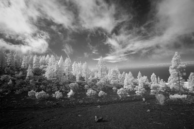 ir