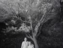 ir