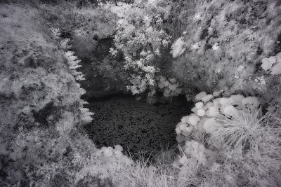 ir