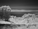 ir