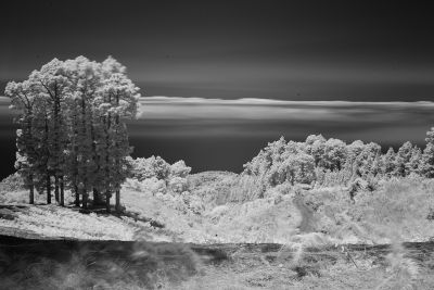 ir