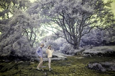 ir